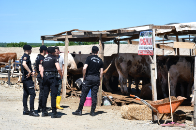 Tekirdağ'da Kurban Satış Alanında Çıkan Kavgada 5 Kişi Yaralandı