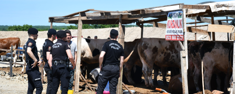 Tekirdağ'da Kurban Satış Alanında Çıkan Kavgada 5 Kişi Yaralandı