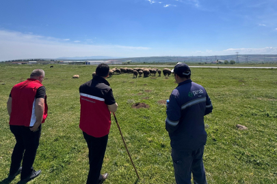 Tekirdağ İl Tarım Müdürü Aksoy’dan Üreticiye Ziyaret