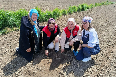 Toprak, Kadın Çiftçilerle Bereketleniyor