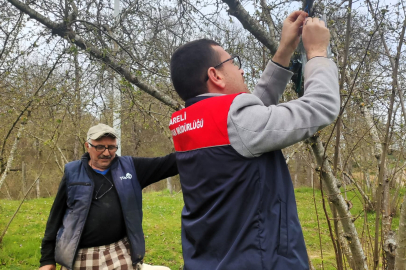 Demirköy’de Kahverengi Kokarca Zararlısına Karşı İzleme Çalışması