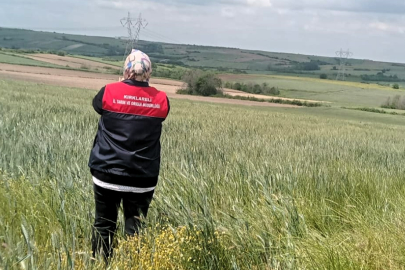 Kırklareli’nde Tarımda CBS Destekli Dijital Saha Çalışmaları Sürüyor