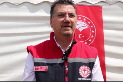 Tekirdağ'da Yağışlar Kanolada Verim Beklentisini Artırdı