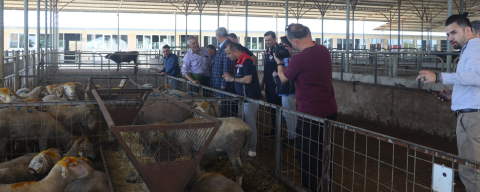 Edirne’de Kurbanlık Hayvan Satış Yerlerinde Sıkı Denetim