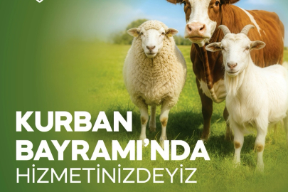 Tekirdağ Büyükşehir Belediyesi’nden Mezbahalarda Kesim Hizmeti