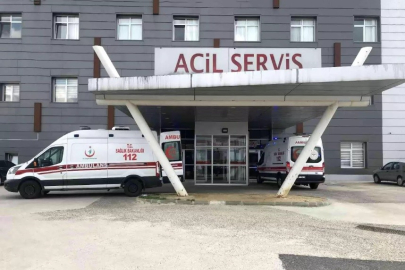 Arı Saldırısına Uğrayan Yaşlı Çift Hastanelik Oldu