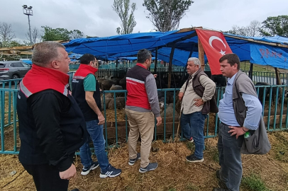 Tekirdağ’da Kurbanlık Satış Yerlerinde Denetimler Aralıksız Sürüyor