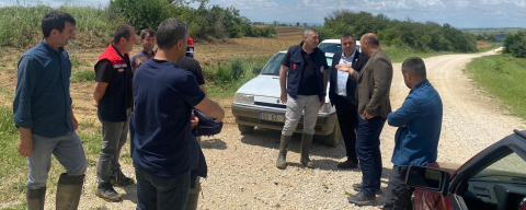 Tekirdağ'da Dolu Ekili Tarım Arazilerine Zarar Verdi