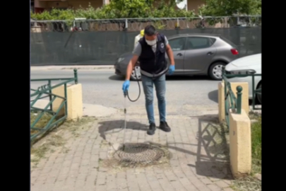 Çerkezköy’de Kene ve Haşerelere Karşı İlaçlama Çalışmaları Sürüyor