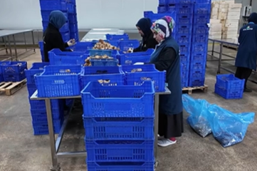 Tekirdağ’da Mantar İşletmeleri Ekonomiye Katkı Sağlıyor