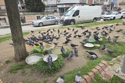 Kuşların İmdadına Vatandaş Yetişti