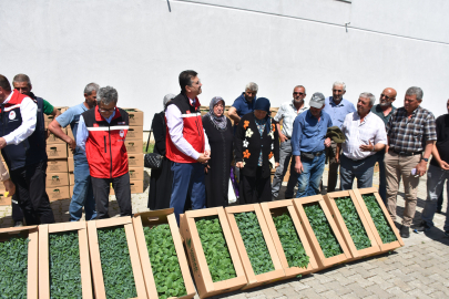 Tekirdağ'da Üreticilere Yazlık Sebze Fidesi Dağıtıldı