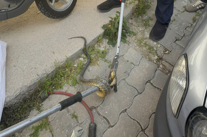 Edirne’de Motosiklete Giren Yılan Paniğe Neden Oldu