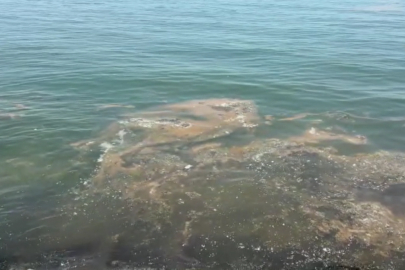 Tekirdağ'da Plankton Yoğunluğu Yer Yer Denizin Rengini Değiştirdi