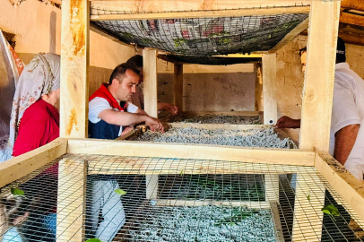 Edirne’de İpek Böcekçiliğinin Yaşatılması İçin Üreticilerle Buluşuldu
