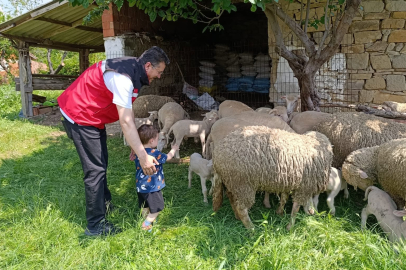 Tekirdağ’da Hayvancılık İşletmesine Yerinde İnceleme