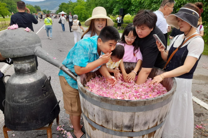 Dünya Bu Festivale Aktı