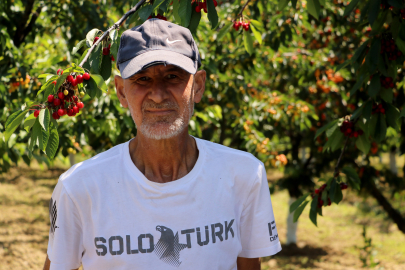 Tekirdağ Kirazında 3 Bin Ton Rekolte Bekleniyor