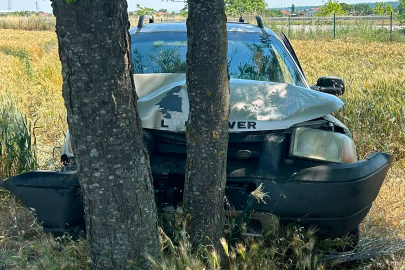 Babaeski'de Ağaçlara Çarpan Otomobilin Sürücüsü Yaralandı