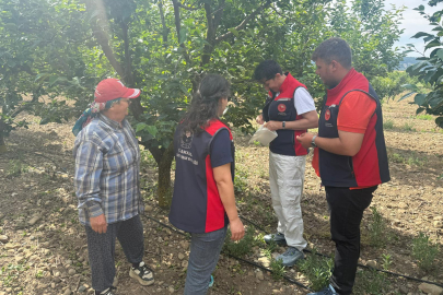 Eceabat’ta Akdeniz Meyve Sineğine Karşı "Tuzaklı" Önlem