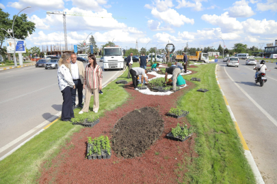 ⁠Edirne'de Peyzaj Çalışmaları Sürüyor