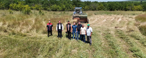 Subaşı’nda Mera Otları Hayvancılık İçin Balyalandı