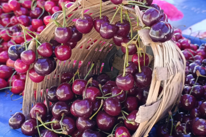 Tekirdağ'da Kiraz Fiyatları Düşüşe Geçti: 250 TL'den 150-100 TL Bandına Geriledi