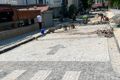 Lüleburgaz’da Eskibedir Caddesi’nde Yol ve Kaldırım Çalışması