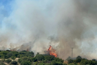 Çanakkale'de Bozuk Orman Sahasında Yangın