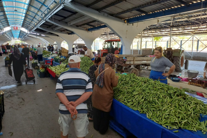 Edirne Pazarı’nda Bezelye Bollaştı, Fiyat Düştü