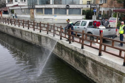 5 Bin 208 Üreme Noktasına Müdahale