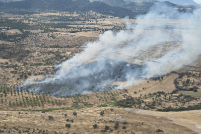 Çanakkale'de Ormanlık Alanda Yangın Çıktı