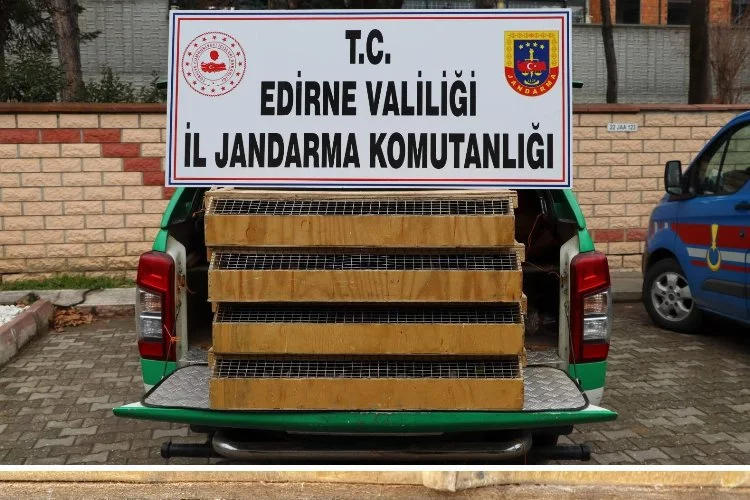 Edirne’de bir araçta 589 kuş ele geçirildi